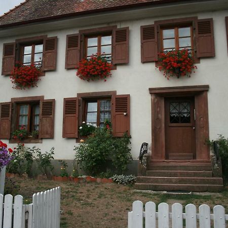 Maison D'Alsace Breitenbach-Haut-Rhin المظهر الخارجي الصورة