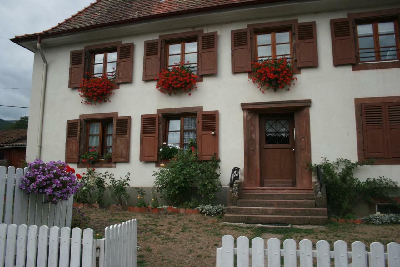 Maison D'Alsace Breitenbach-Haut-Rhin المظهر الخارجي الصورة